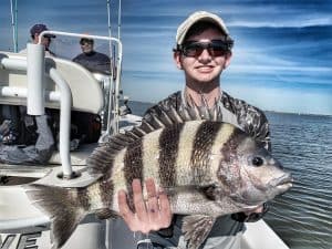 Sheepshead fishing charter