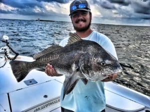 Mobile Bay fishing guide Black Drum