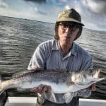 how to catch speckled trout with live shrimp