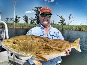 mobile tensaw delta redfish
