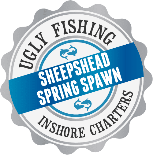 sheepshead-spring-spawn-fishing-charter-trip-alabama
