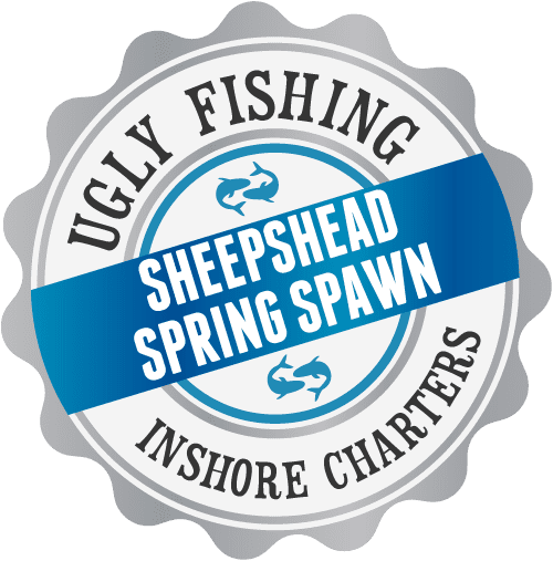 sheepshead-spring-spawn-fishing-charter-trip-alabama