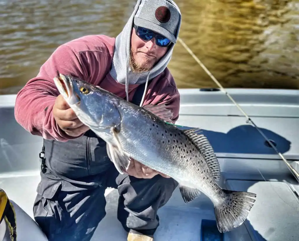 Good outing fishing a creek before a weather front came in : r