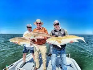 Alabama inshore fishing bull redfish