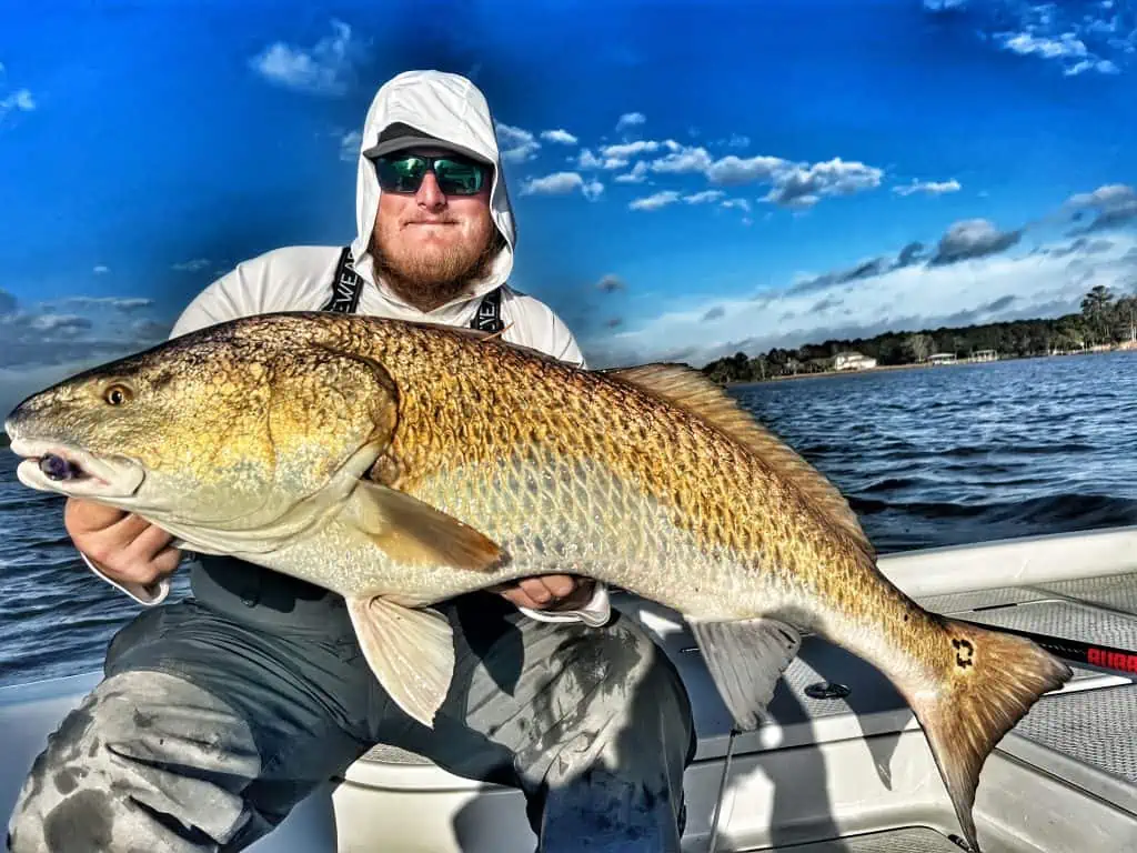 Mobile Bay bull redfish fishing charter Captain Taylor morrow