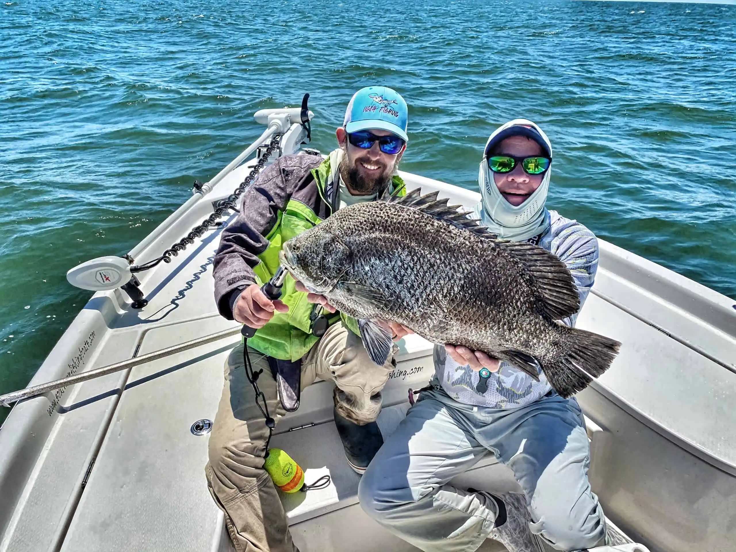 Tripletail aka blackfish